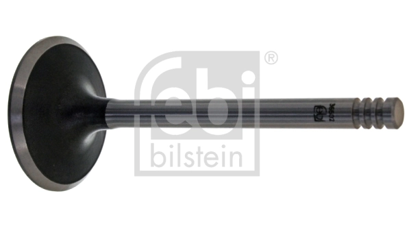 Intake Valve